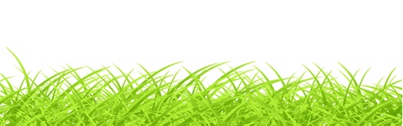 Vector grass design templateのイラスト素材