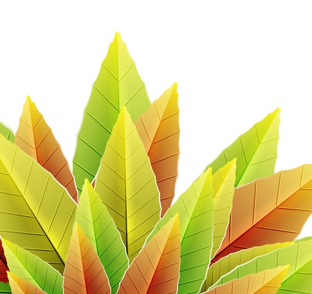 Vector abstract autumn leaf backgroundのイラスト素材