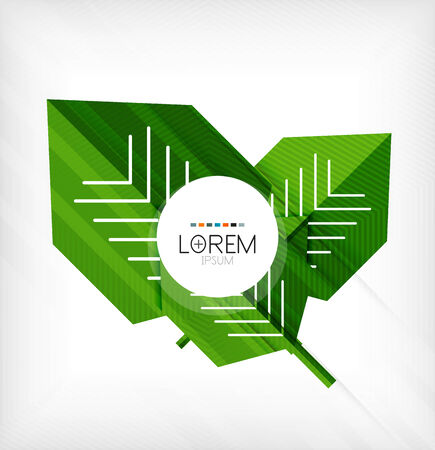 Green stylized geometrical leaves concept designのイラスト素材