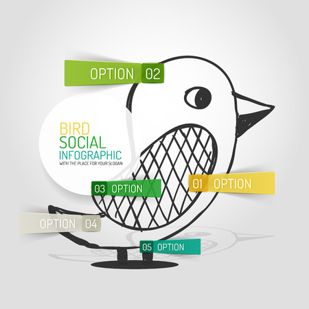 Vector drawn social bird design and infographicsのイラスト素材