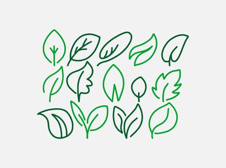 Collection of vector hand drawn leaves, green leaf icons, sketches and doodles illustration, line artのイラスト素材