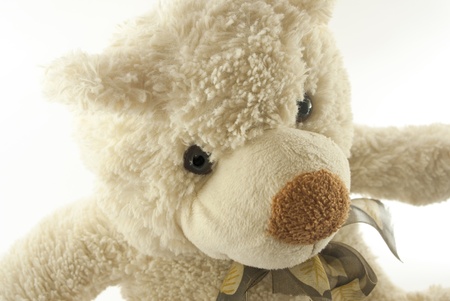 light brown teddy bear isolated on whiteの写真素材