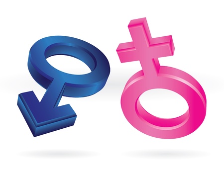 male and female symbols isolated on whiteのイラスト素材