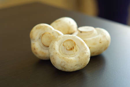 Champignon organic food ingredients. Fresh raw mushroom closeup. Dieting vegetarian meal. Natural whole champignons.の写真素材