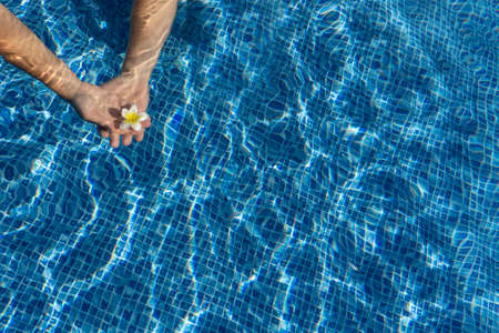 Two male and female hands holding one jasmine flower in water