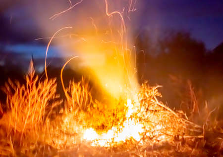 Campfire fiery tornado on blurred sunset sky backgroundThe huge tongues of the yellow flame of fire rise up. Sunset time. Holiday or air pollution?の写真素材