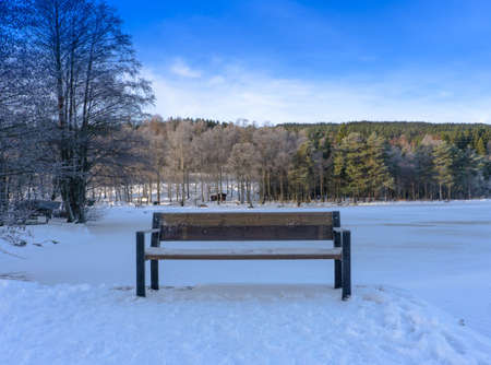 Empty wooden bench on the shore of a frozen lake .Winter day .Norway.Bench on the shore of a frozen lake. Trees on background.の写真素材