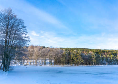 Frozen lake and blue frosty sky..Frosty winter morning. Bright sun rays make their way through the trees.の写真素材