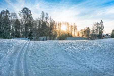 Winter morning . Deep ski in the foreground. Bright sunny ones make their way through the trees....
