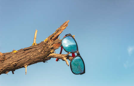 Sunglasses on a wilted branch reflect an empty seashore. Blue bright sky. The concept of a failed vacation or take a rest. Coronavirus pandemic and travel ban.の写真素材