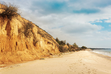 A panoramic view of the yellow-brown clay slope and the empty sandy beach. Turquoise sky and small clouds. Large cracks in the ground, descent of dirt road layersの写真素材