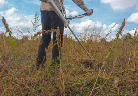 A worker cuts huge weeds with a brush cutter. The figure of a farmer holding a trimer. Back view....