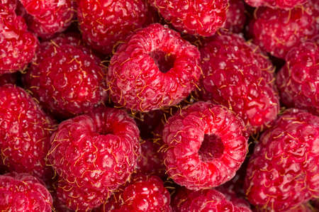 Raspberry with drops of water, many freshly picked ripe red fruits, closeup, natural background