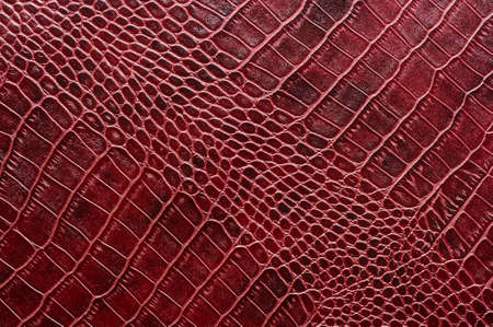 Crocodile leather for manufacturing of luxury shoes, clothes, bags and other fashion accessories, high quality natural seamless material sample, textured background, top viewの写真素材