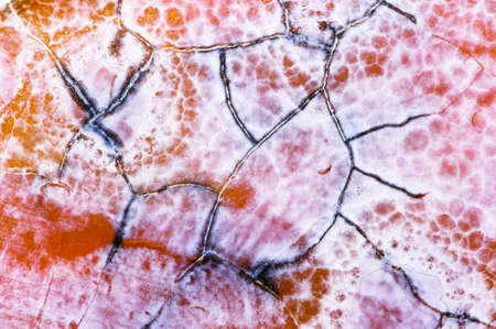 Agate stone texture with cracks, surface of natural unpolished mineral in orange tint, macro shot,...