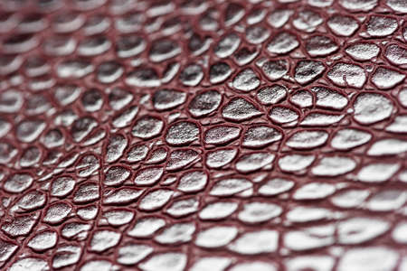 Crocodile leather for manufacturing of luxury shoes, clothes, bags and other fashion accessories, high quality natural seamless material sample, textured background, selective focusの写真素材