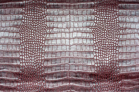 Crocodile leather for manufacturing of luxury shoes, clothes, bags and other fashion accessories, high quality natural seamless material, textured background, top viewの写真素材