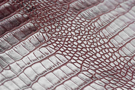 Crocodile leather for manufacturing of luxury shoes, clothes, bags and other fashion accessories, high quality natural seamless material sample, textured background, selective focusの写真素材