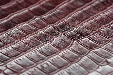 Crocodile leather for manufacturing of luxury shoes, clothes, bags and other fashion accessories, high quality natural seamless material sample, textured background, selective focusの写真素材