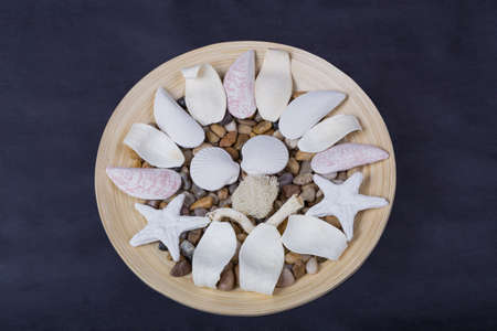 Wooden plate with shells and stones on gray background