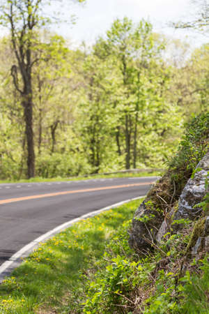 Road view in mountains in Virginia  Springの写真素材
