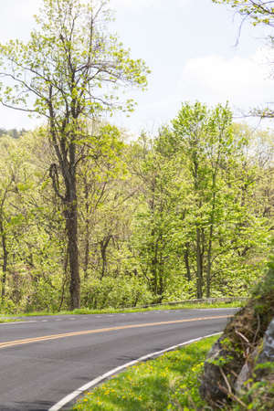 Road view in mountains in Virginia  Springの写真素材
