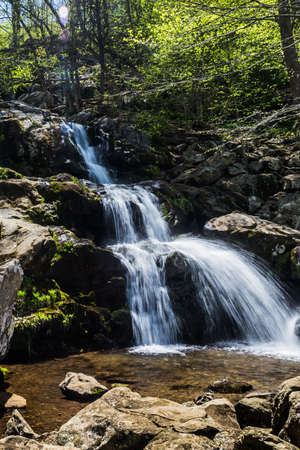 Small waterfall amid Virginia mountain forest  Springの写真素材