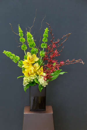 Floral arangement with Cymbidium and James Storey orchids, Hydrangea, moluccella and greenery in rectangular vaseの写真素材