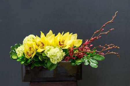 Floral arangement with Cymbidium and James Storey orchids, Hydrangea and greenery in rectangular vaseの写真素材