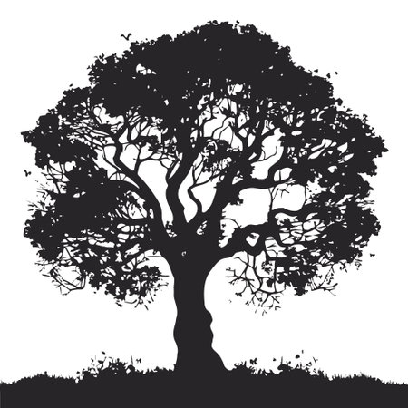 silhouette of big tree in summer on isolated white backgroundのイラスト素材