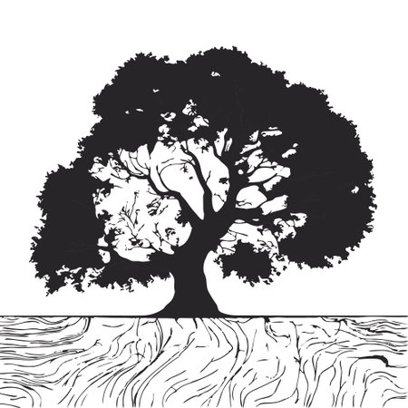 silhouette of big tree in summer on isolated white backgroundのイラスト素材