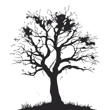 silhouette of big tree in summer on isolated white backgroundのイラスト素材