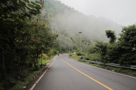 Pusuk Forest Highway, Sembalun tourist spot, East Lombok
