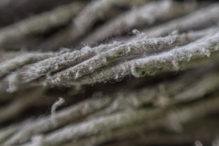 texture of mop cloth close up, abstract background mopping the floorの写真素材