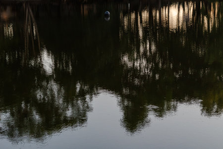 Reflection in the water with reflection of the sky and trees