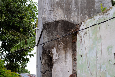 Wall fragment with scratches and cracks