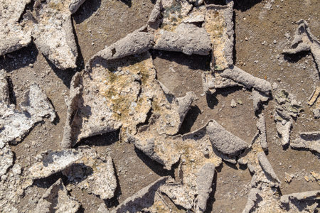 Close-up macro view of dry earth crust pieces peeling and curling up from parched cracked soil background surface.の写真素材