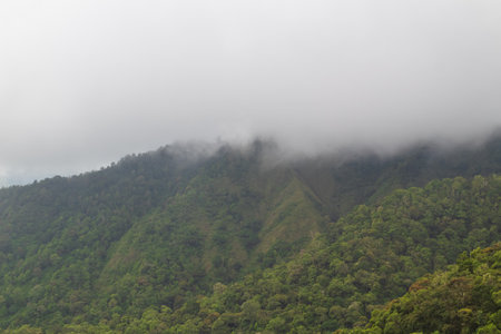 Lush Green Mountain Range Veiled in Mist with Natural Light and Copy Space for Ecotourism or Nature...