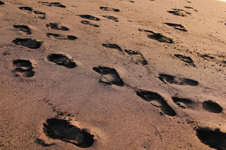 Footprints in the sand on the beach at sunset. Natural backgroundの写真素材