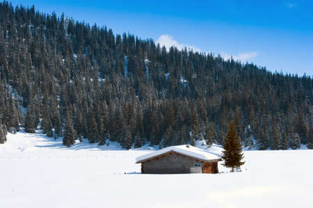 Swiss Barn in Winterの写真素材