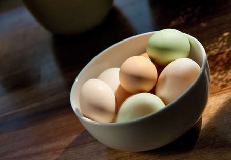Selection of duck and chicken eggs with selected focus