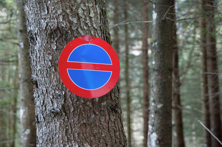 No waiting sign in the middle of a forrest