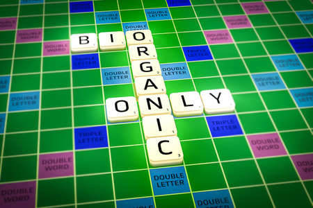 Concept photo of bio organic food only. Words are displayed on a game way.