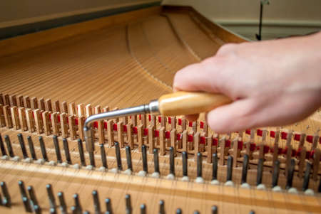 Have a look on how the string is taut to find the right toneの写真素材