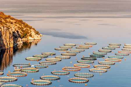 Fish farming near Epidaurus, Greece