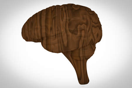 Wood human brain sideview