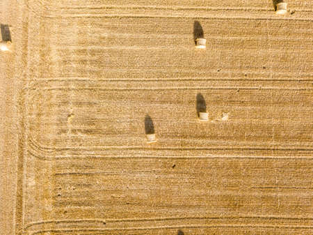 Aerial view on Haystacks on a wheat fieldの写真素材