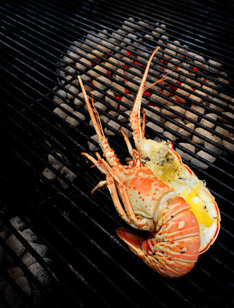Lobster on charcoal grillの写真素材