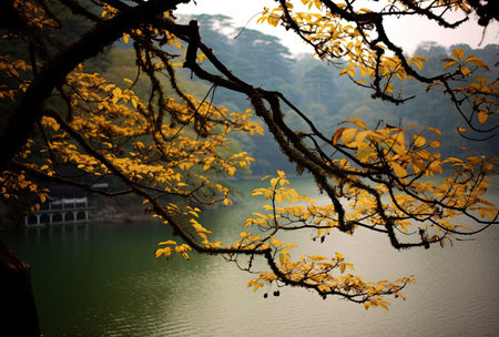 Autumn landscape with lake and trees in south korea,Hangzhou\\"\"\""の素材