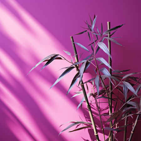 Bamboo plant on pink background with shadow. Minimal concept.の素材